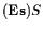 $ (\ensuremath{\mathbf{Es}}\xspace )\ensuremath{S}\xspace $